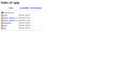 vignette du site