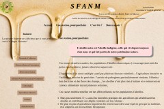 vignette du site