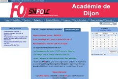 vignette du site