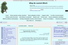 vignette du site