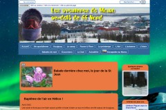 vignette du site