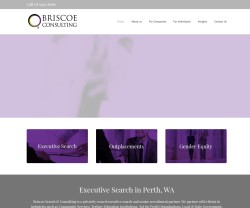 Briscoe Search & Consulting