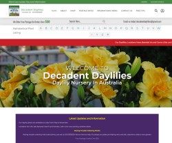 Decadent Daylilies Daylily Nursery