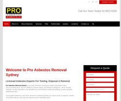 Pro Asbestos Removal Sydney