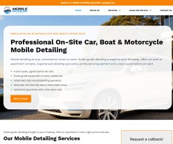 Mobile Detailing guys