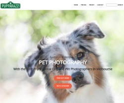 Pupparazzi Pet Photography