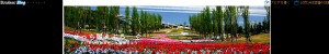http://blog.livedoor.jp/hichitose/archives/52425773.html