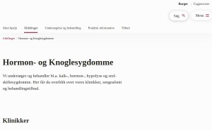 Preview af klinikkens hjemmeside