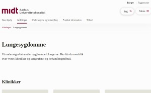 Preview af klinikkens hjemmeside