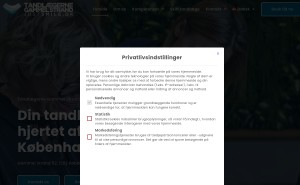 Preview af klinikkens hjemmeside