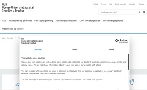 Preview af klinikkens hjemmeside