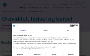 Hjemmeside