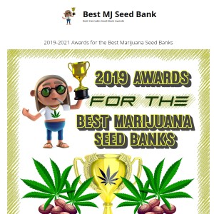 Best Sativa Cannabis Seeds - BESTMJSEEDBANK.COM