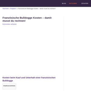 Französische Bulldogge Kosten – damit musst du rechnen! - Franz Bulldogge