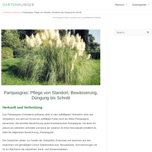 Pampasgras: Pflege von Standort, Bewässerung, Düngung bis Schnitt