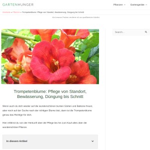 Trompetenblume: Pflege von Standort, Bewässerung, Düngung bis Schnitt