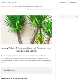 Yucca Palme: Pflege von Standort, Bewässerung, Düngung bis Schnitt - Gartenhun