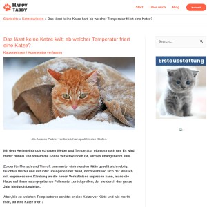 Das lässt keine Katze kalt: ab welcher Temperatur friert eine Katze? - Happy Ta