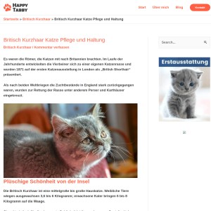 Britisch Kurzhaar Katze Pflege und Haltung - Happy Tabby