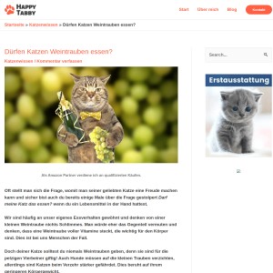 Dürfen Katzen Weintrauben essen? - Happy Tabby