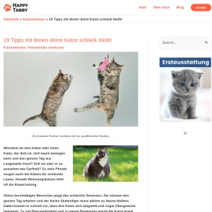 19 Tipps mit denen deine Katze schlank bleibt - Happy Tabby