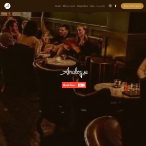Screenshot of the Analogue website