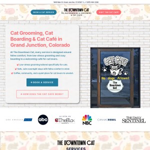 Screenshot of the The Downtown Cat website