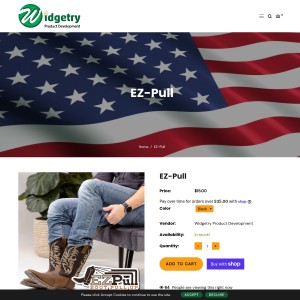 Screenshot of the Widgetry Product Development website