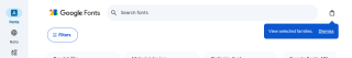 Google Fonts