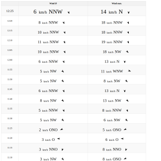 Wetter Schwarzwaldgeier