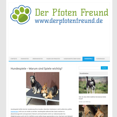 Hundespiele - Warum sind Spiele wichtig? Der Pfoten Freund