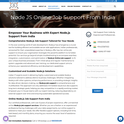 Node.js Online Job Support