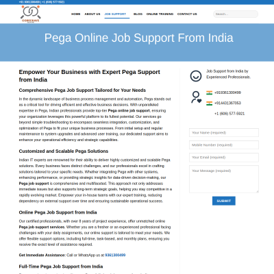 Pega Online Job Support