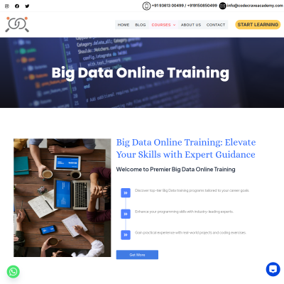 Big Data Online Training