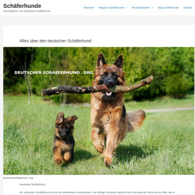 ernährung schäferhund