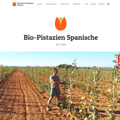Bio-Pistazien Spanische