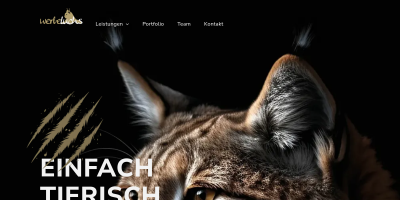 https://werbeluchs.com