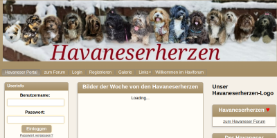 https://www.havaneserherzen.de/