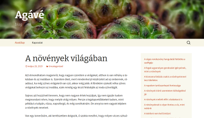 Agave Könyvek