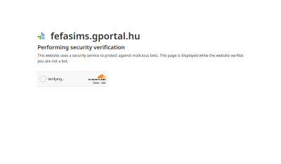 FefaSims