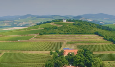 Tokaj-Hegyalja - Gróf Degenfeld Szőlőbirtok