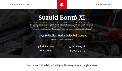 Suzuki Bontó XI