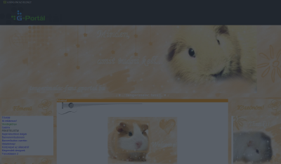 Tengerimalac Fans (gportál)