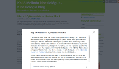 Van Választásod - Kineziológia Blog