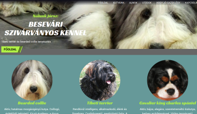 Besevári Szivárványos Kennel
