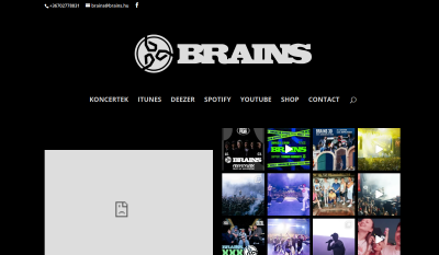 Brains