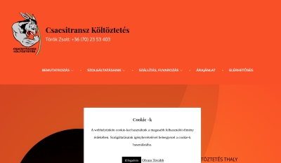 Csacsitransz Kft.
