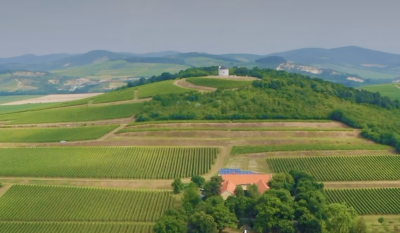 Tarcal - Gróf Degenfeld Szőlőbirtok