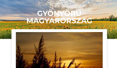 [figyel.hu] - Hírek Percről Percre!