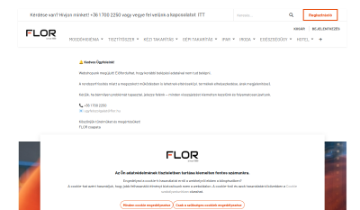 Flor Ipari Takarítógép